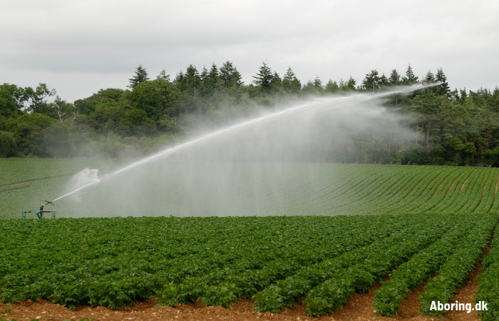 Driftsikker vandforsyning til danske kartoffelavlere